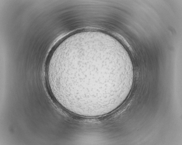 X0000116151133200912211503