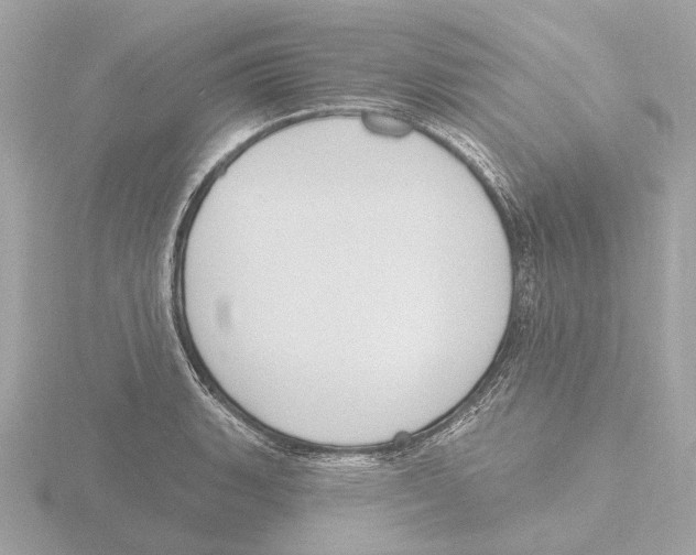 X0000116151135200912211503