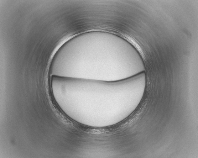 X0000116151138200912211503