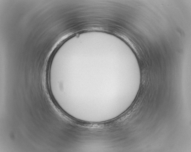 X0000116151139200912211504