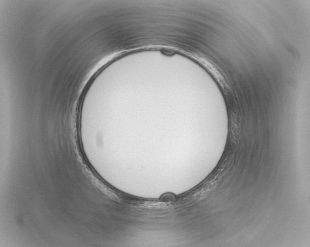 X0000116151142200912211504