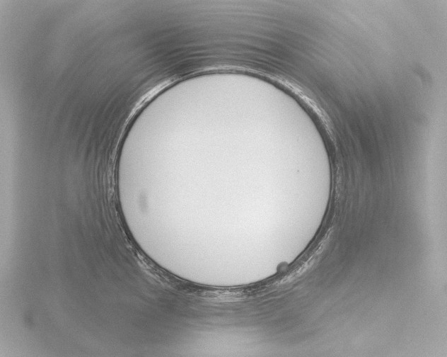 X0000116151145200912211504