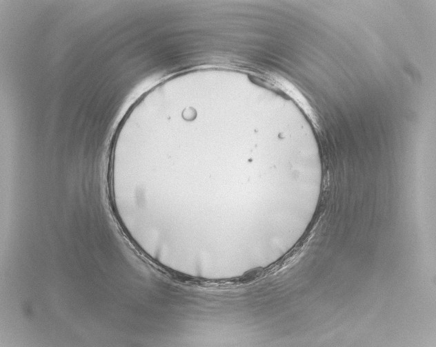 X0000116151146200912211504