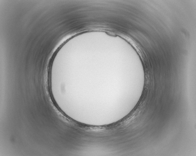 X0000116151147200912211504