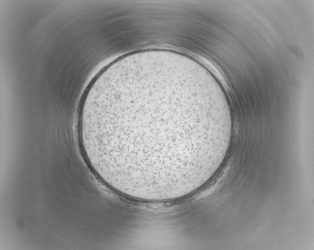 X0000116151149200912211504