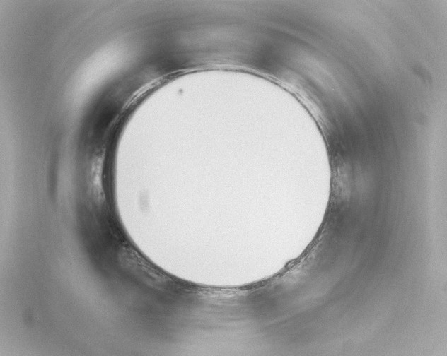 X0000116151150200912211504