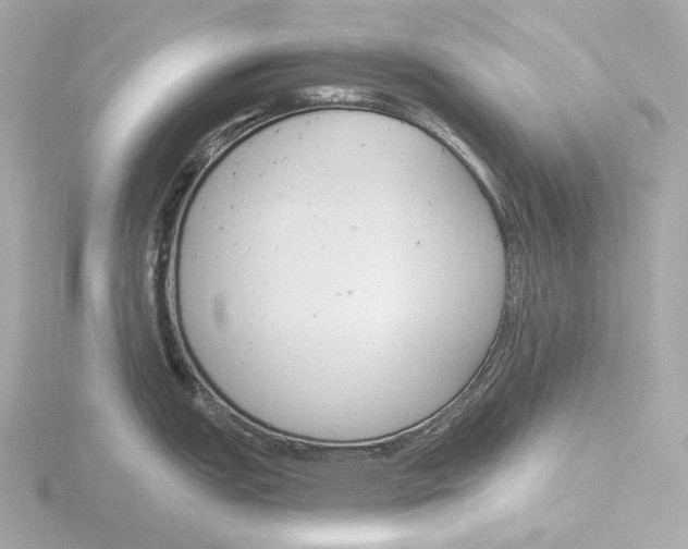 X0000116151151200912211504