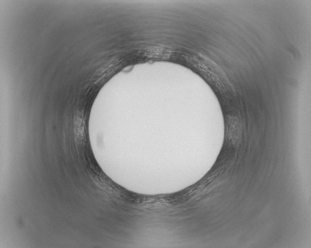 X0000116151154200912211503