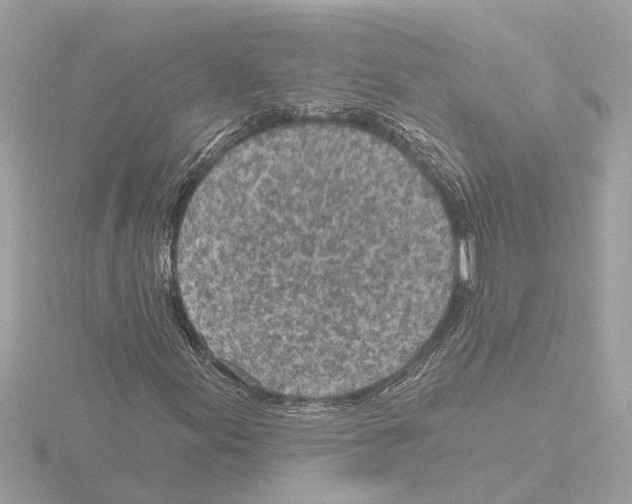 X0000116151155200912211503