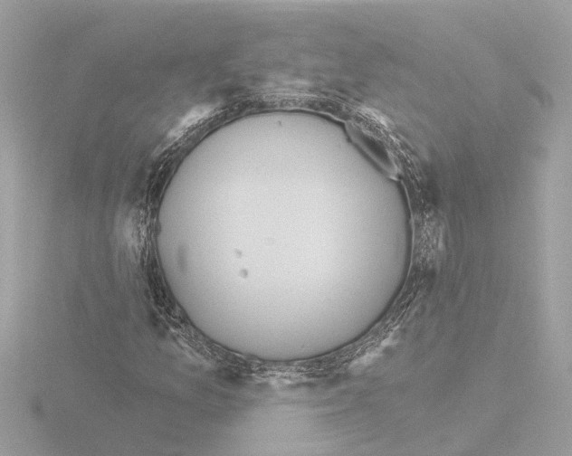 X0000116151157200912211503