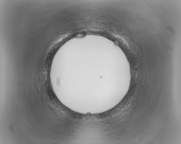 X0000116151159200912211503