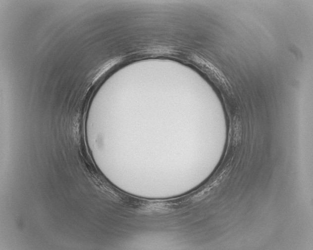 X0000116151162200912211503