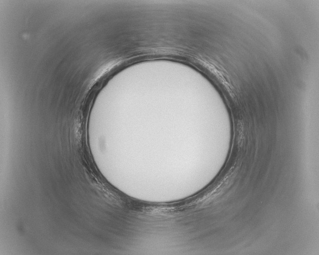 X0000116151163200912211503