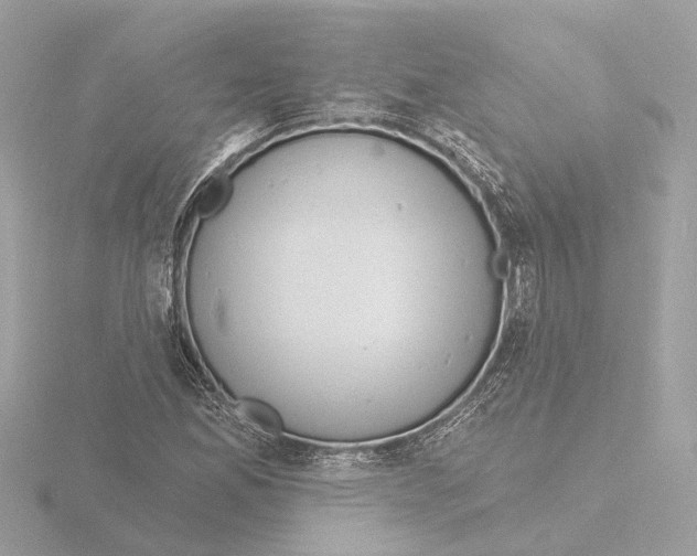 X0000116151165200912211503