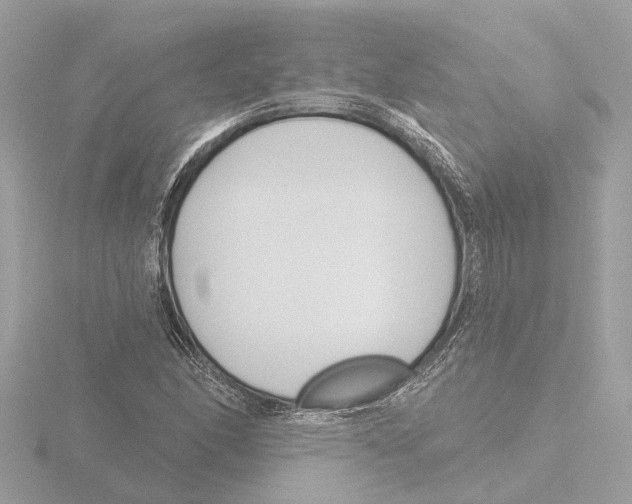 X0000116151166200912211503