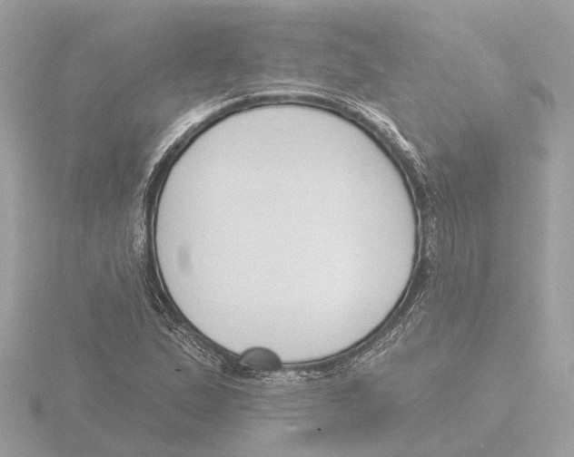 X0000116151167200912211503