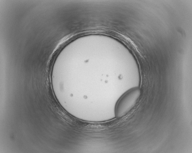 X0000116151168200912211503