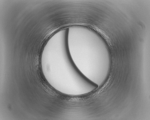 X0000116151169200912211503