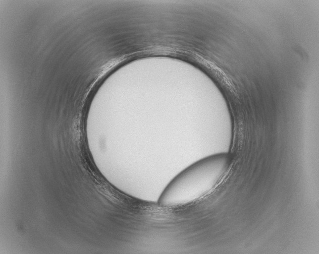 X0000116151170200912211503