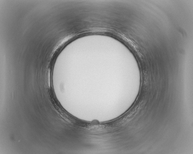 X0000116151171200912211503