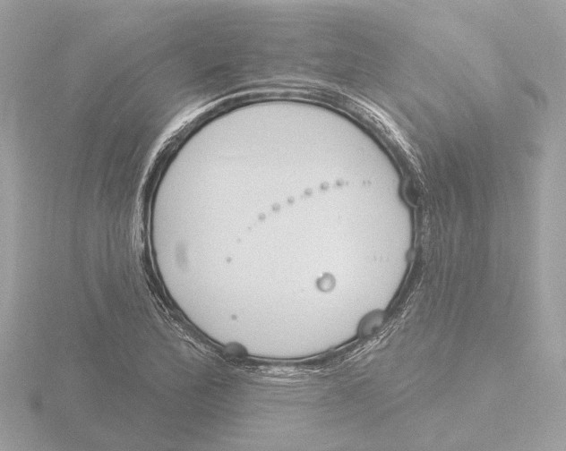 X0000116151172200912211503