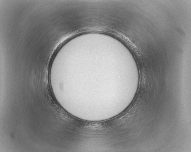 X0000116151174200912211503