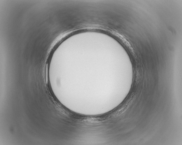 X0000116151175200912211503