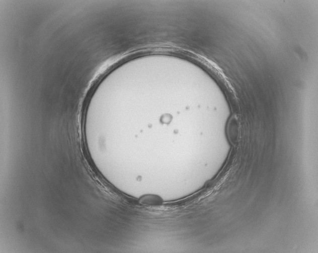 X0000116151176200912211503