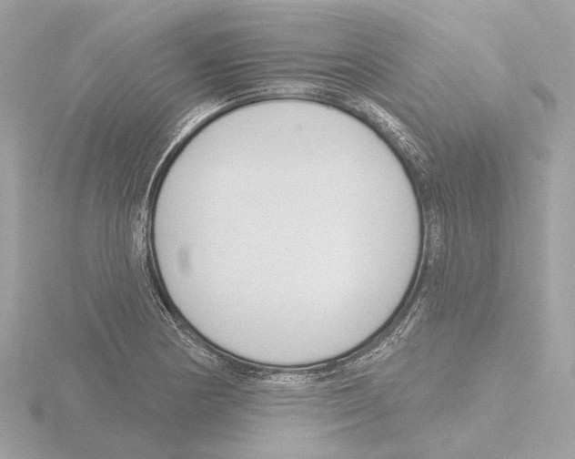 X0000116151178200912211503