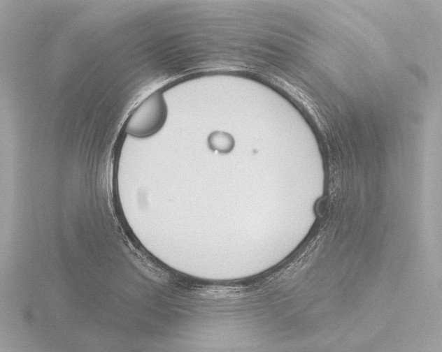 X0000116151179200912211503