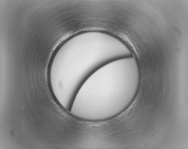 X0000116151181200912211503