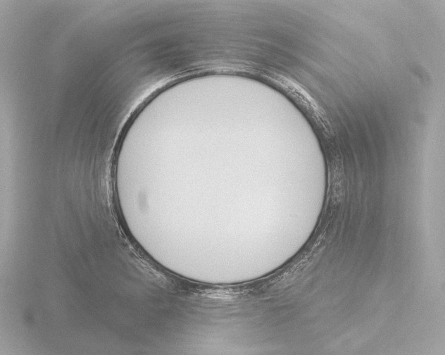 X0000116151182200912211503