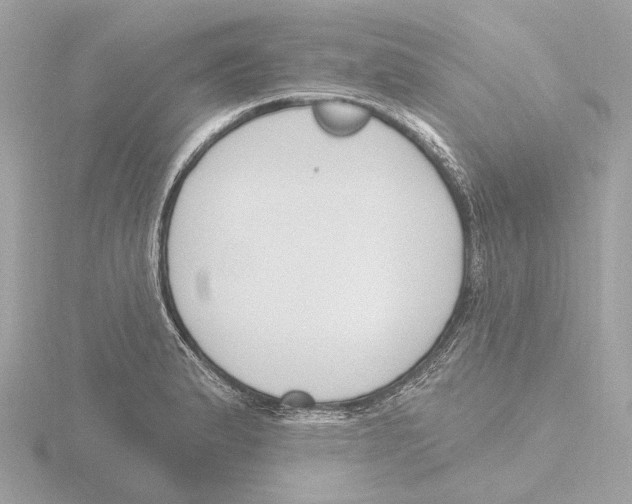 X0000116151183200912211503