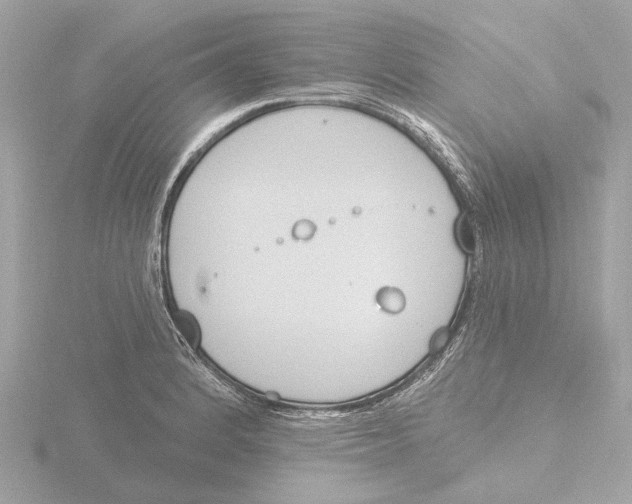 X0000116151184200912211503