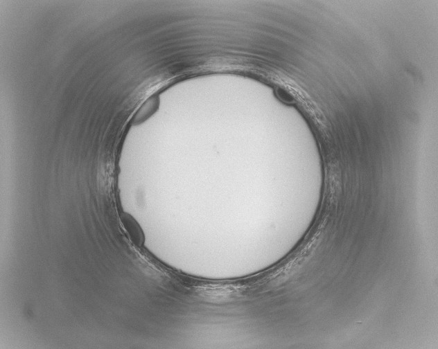 X0000116151185200912211503