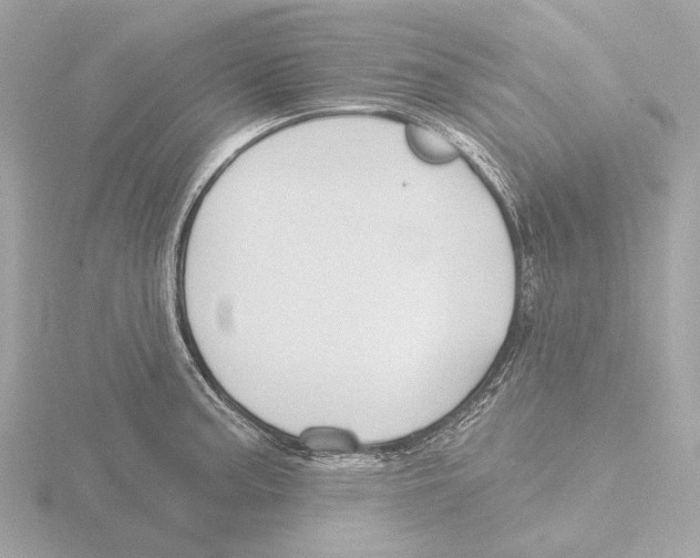 X0000116151187200912211503