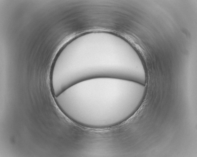 X0000116151189200912211503