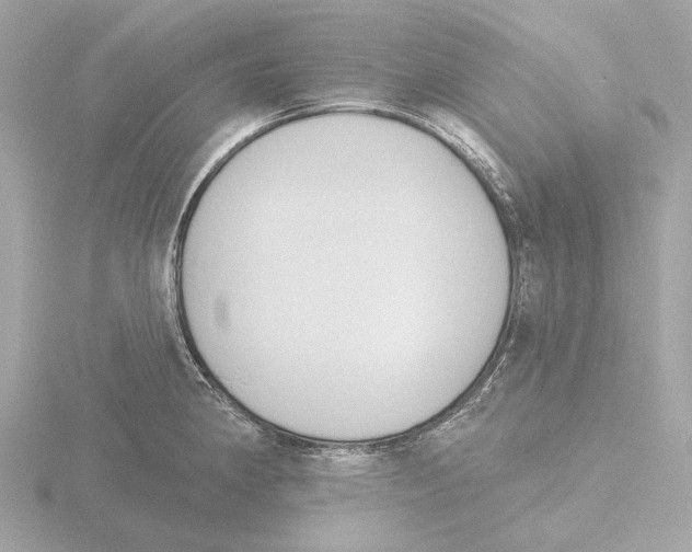 X0000116151190200912211503