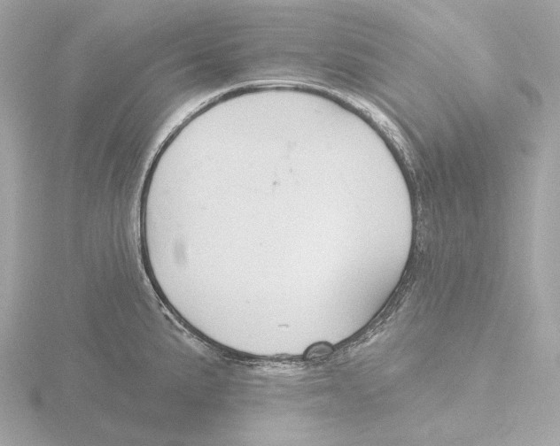 X0000116151191200912211503