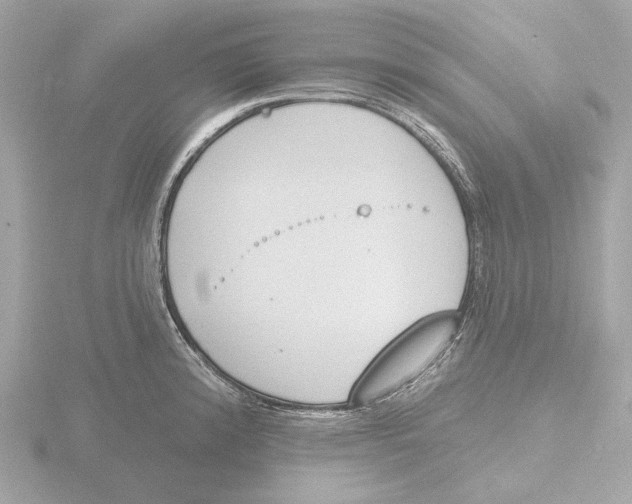 X0000116151192200912211503