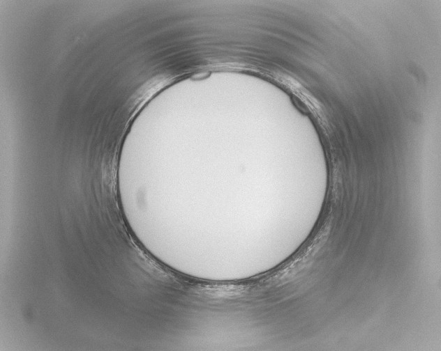 X0000116151193200912211503