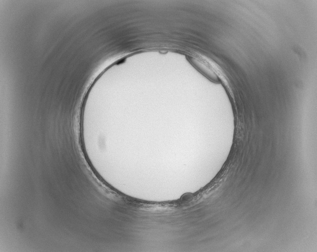 X0000116151195200912211503