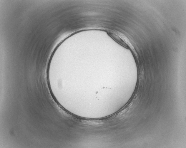 X0000116151197200912211503