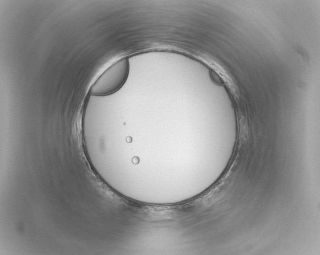 X0000116151198200912211502