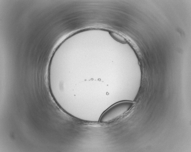 X0000116151199200912211502