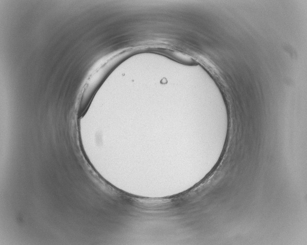 X0000116151200200912211502