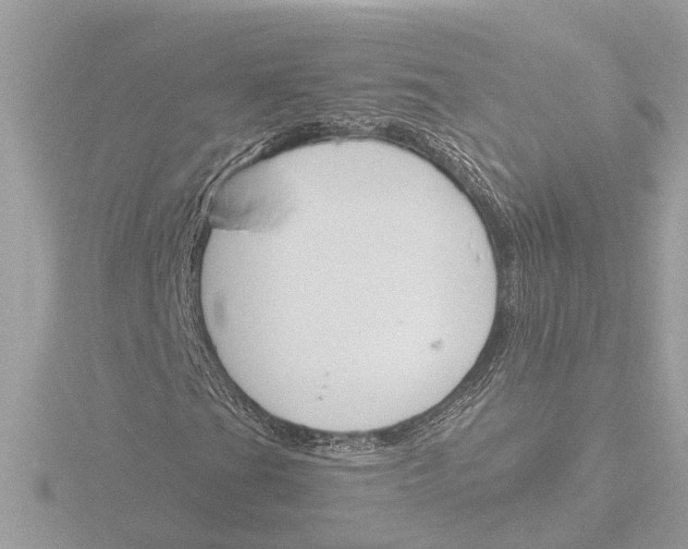 X0000116151201200912211502