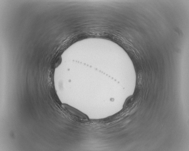 X0000116151202200912211502