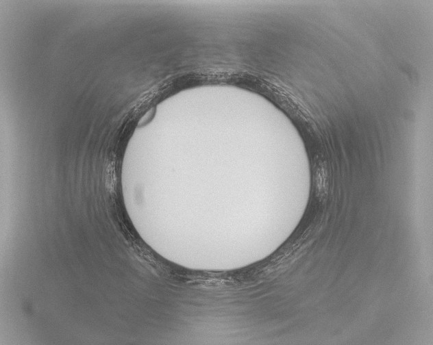 X0000116151204200912211502