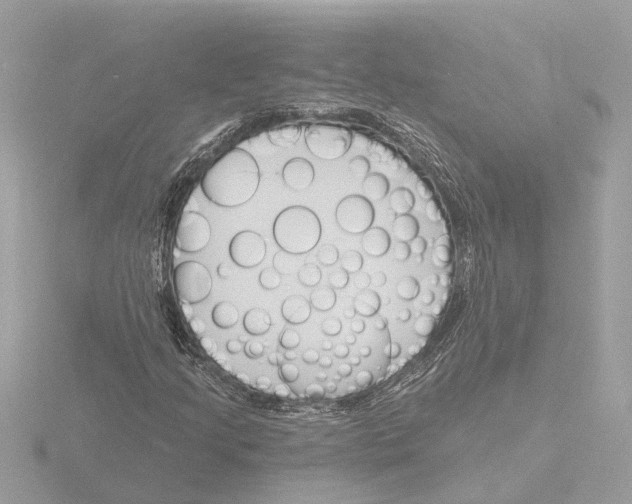 X0000116151205200912211502